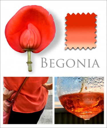 Nytt projekt - info inom kort